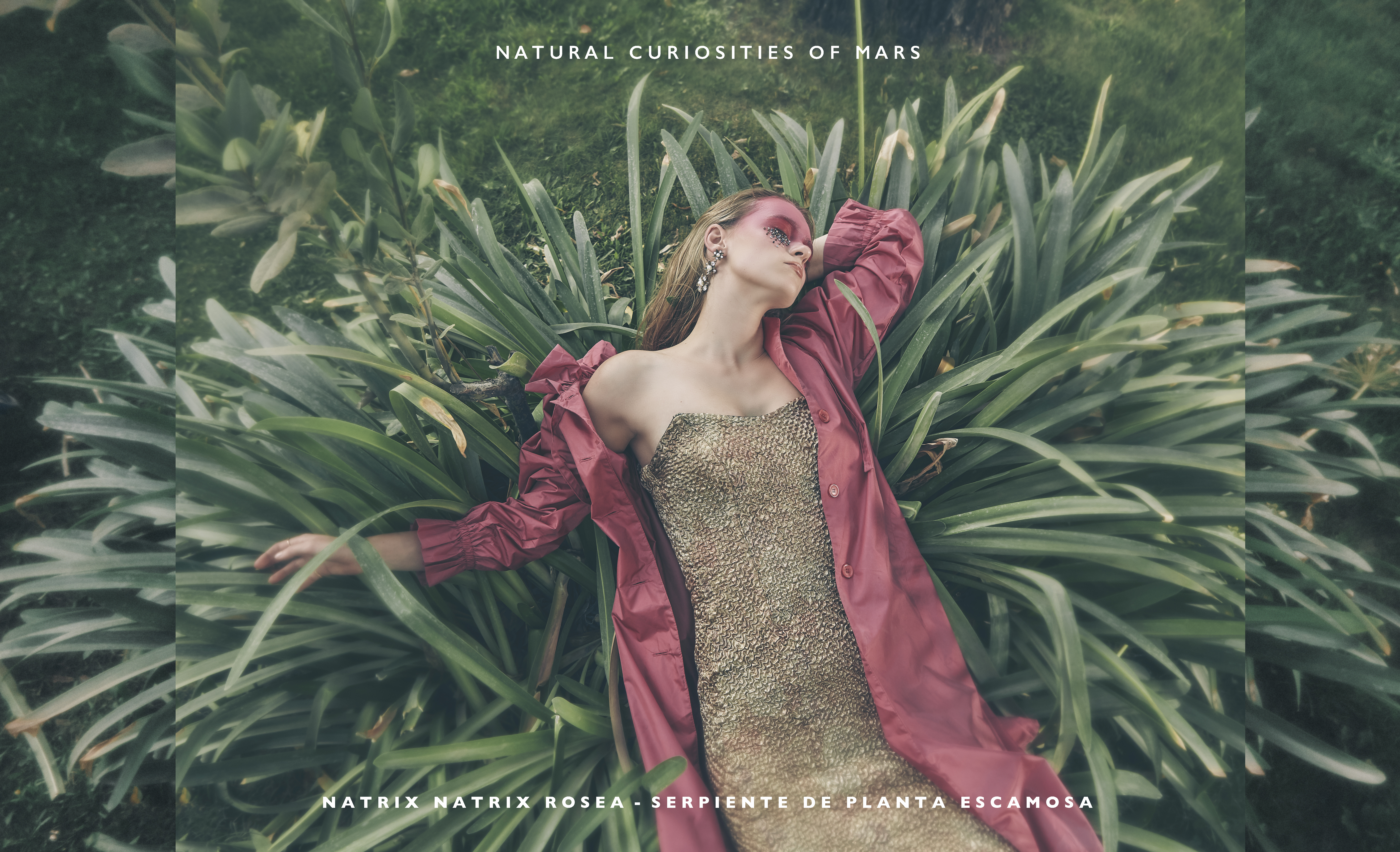 Natural Curiosities of Mars