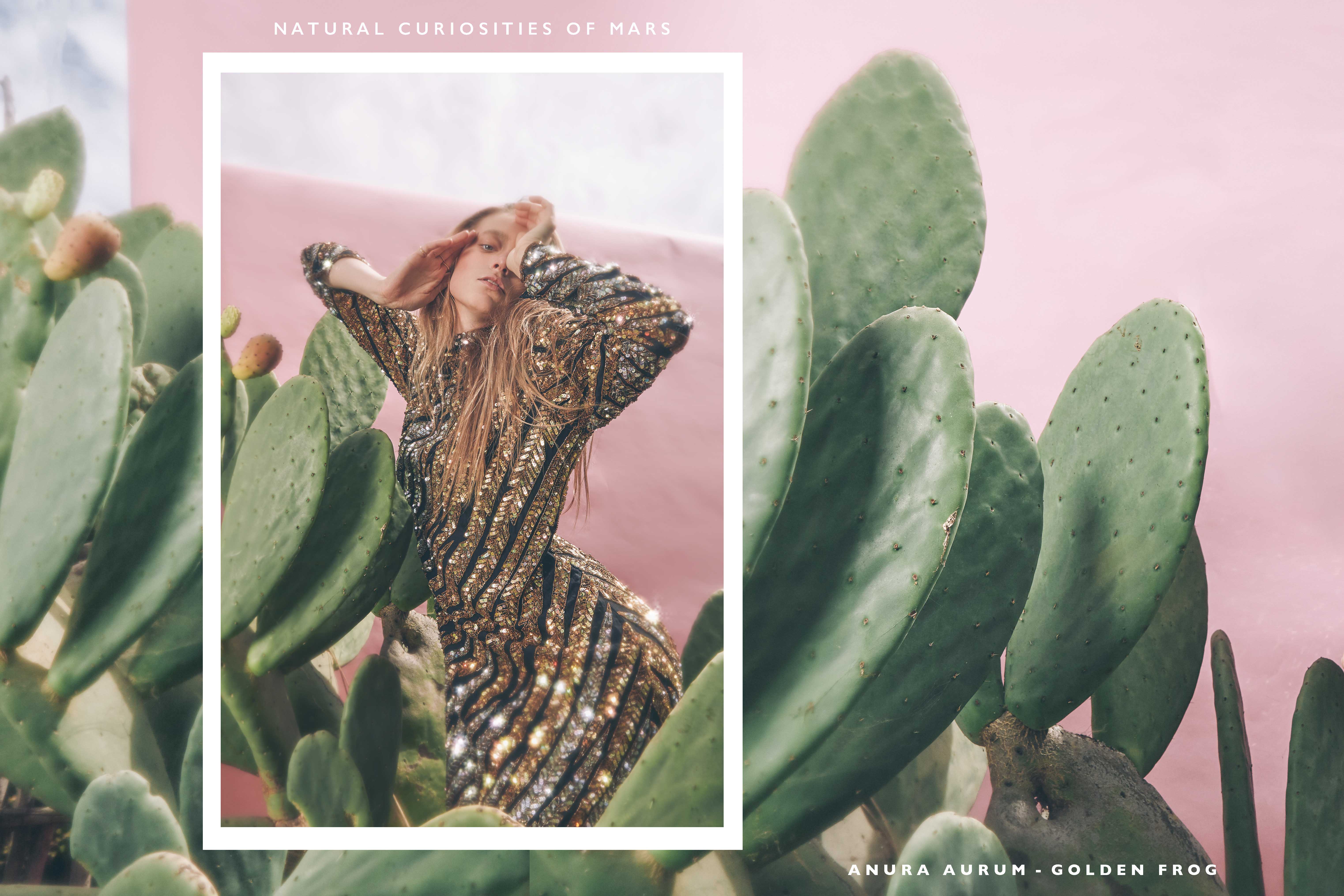 Natural Curiosities of Mars