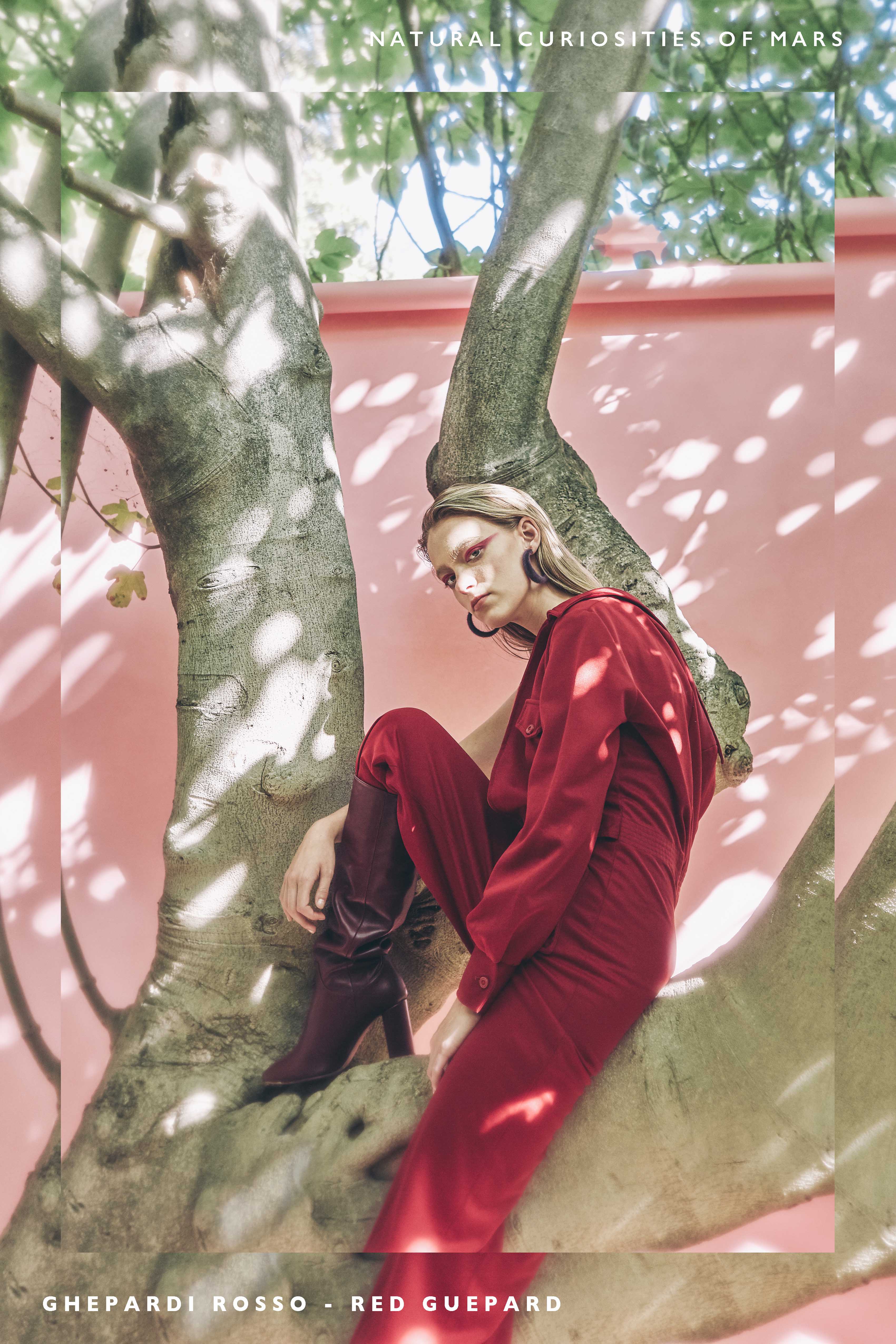 Natural Curiosities of Mars