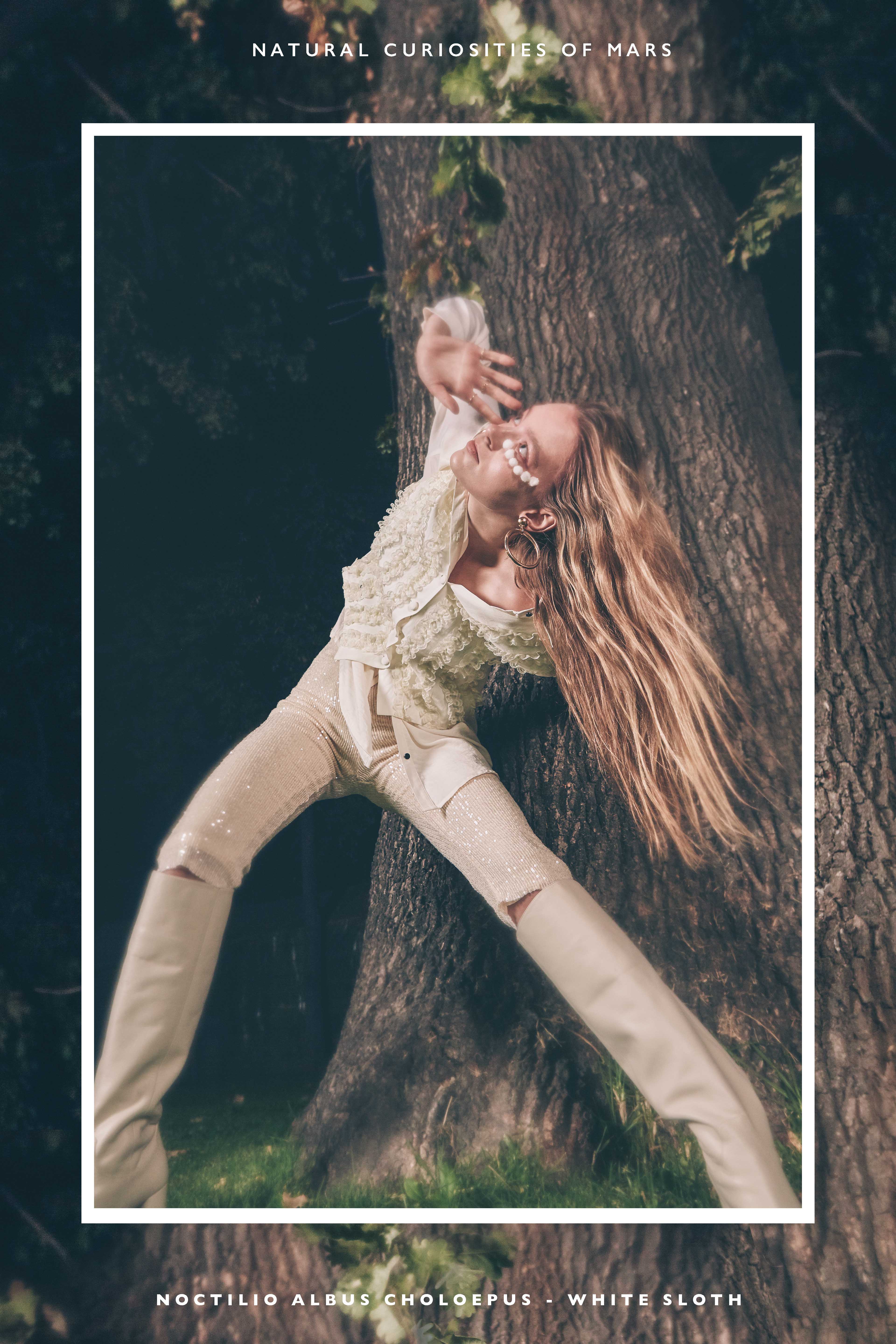 Natural Curiosities of Mars