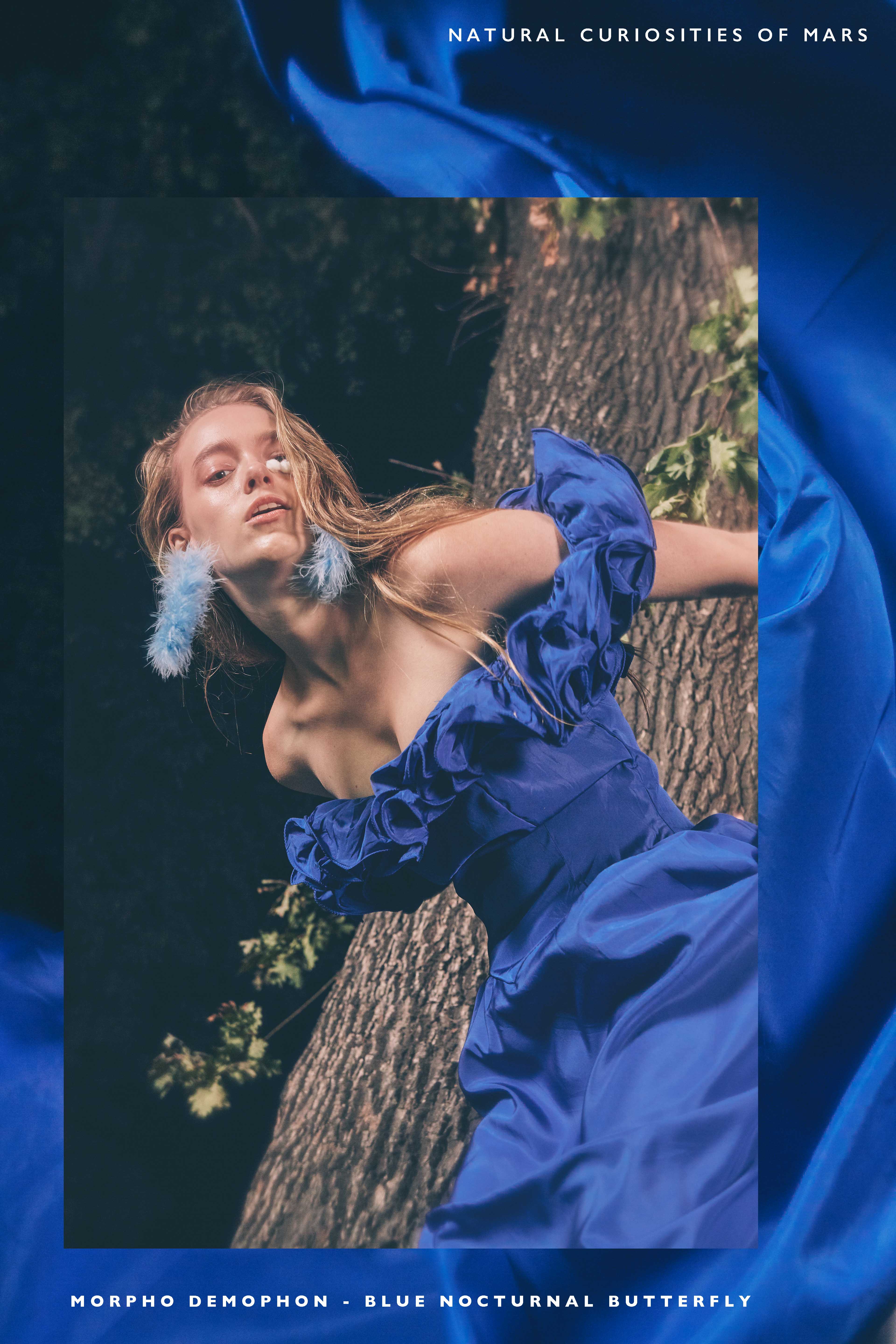 Natural Curiosities of Mars